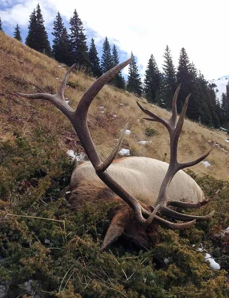 Capitol Peak Outfitters - DIY Elk/Deer Drop Camp Hunt