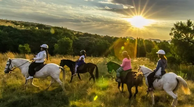 Horseback Safaris Hartbeespoort South Africa