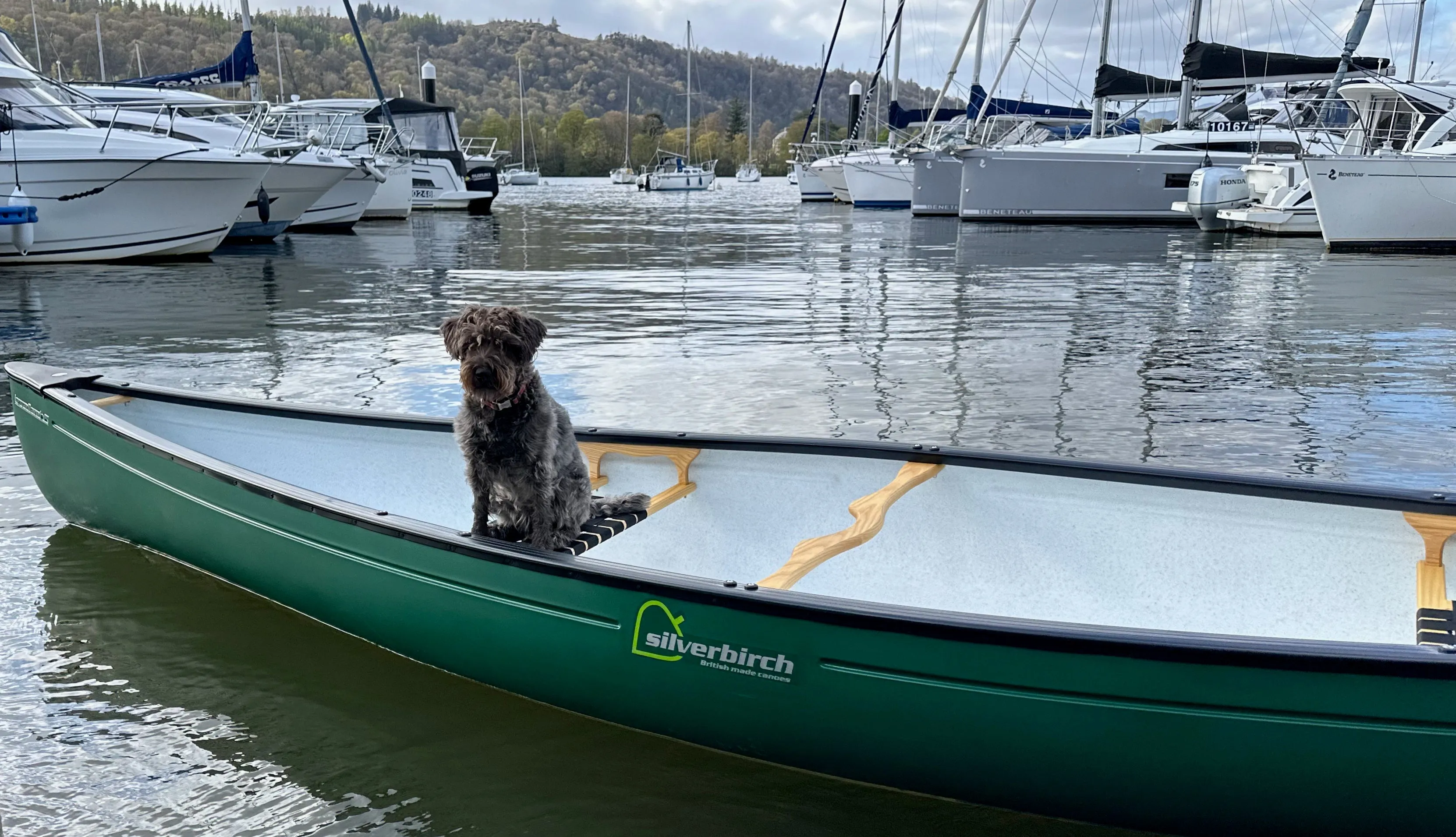 Silverbirch Broadland 15 dura core   Canoe